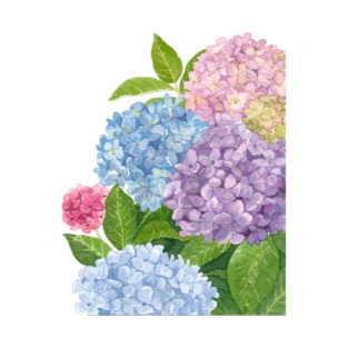 Blooming Hydrangeas T-Shirt