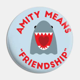 Amity Means Friendship Pin