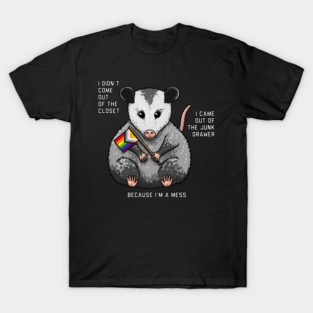 I'm A Mess Opossum T-Shirt