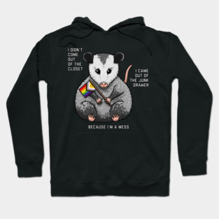 I'm A Mess Opossum Hoodie