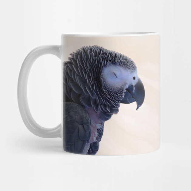 Einstein Parrot Sleeping by Einstein Parrot