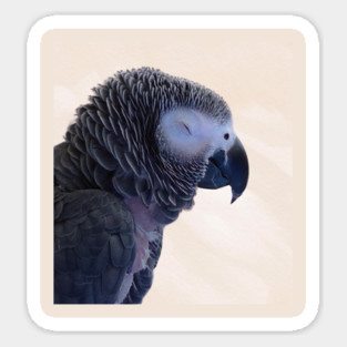 Einstein Parrot Sleeping Magnet