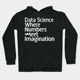 Data Science: Where Numbers Meet Imagination Hoodie