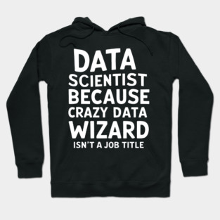 Data Scientist: Because Crazy Data Wizard Isn't a Job Title Hoodie