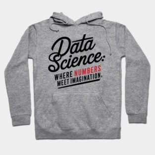 Data Science: Where Numbers Meet Imagination Hoodie