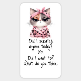 Did I Scratch Anyone Today? funny snarky cat design Magnet