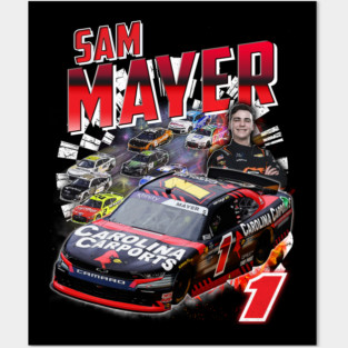 Sam Mayer Posters and Art