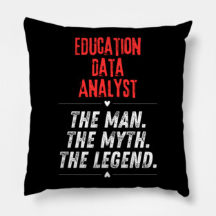 Education Data Analyst Pillow