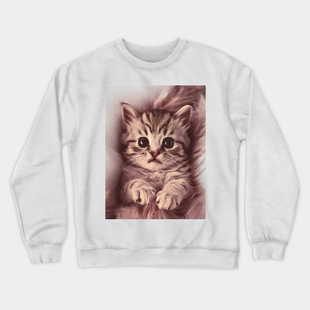Expressive Eyes Baby Cat Crewneck Sweatshirt by animegirlnft