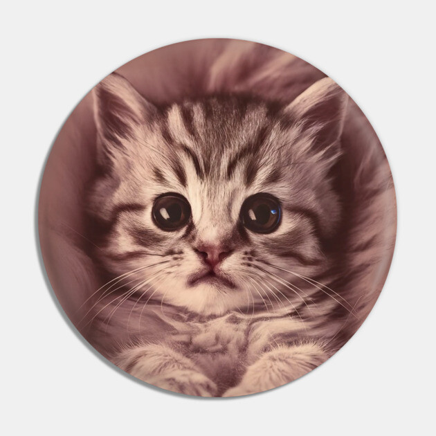 Expressive Eyes Baby Cat Pin by animegirlnft