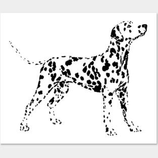 Dalmatian Posters and Art