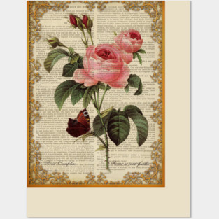 Botanical print, on old book page - Roses Posters and Art