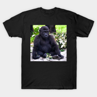 Kayembe T-Shirt