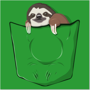 Sloth in a pocket Posters and Art