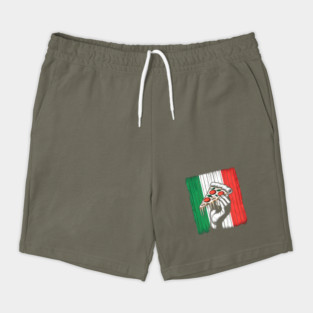 Pizza Lover Italian Flag Colors Shorts