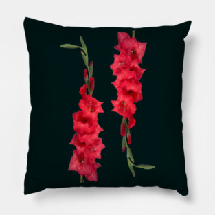 2 Gladiolus Pillow
