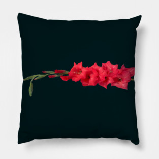 Gladiolus Pillow