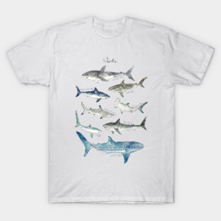 Sharks T-Shirt