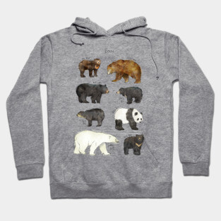 Bears Hoodie