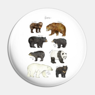 Bears Pin