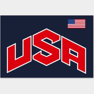 TEAM USA - LETS GOOOO!!! Posters and Art