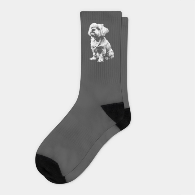 Maltese Dog Sitting Full Size White on Black Socks by Vinokurio