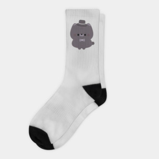 British Shorthair Socks