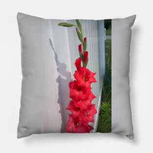Gladiolus Pillow