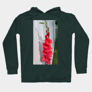 Gladiolus Hoodie