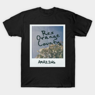 Rex Orange County Polaroid Photo T-Shirt