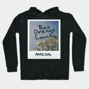 Rex Orange County Polaroid Photo Hoodie