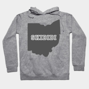 Skibidi Ohio Hoodie