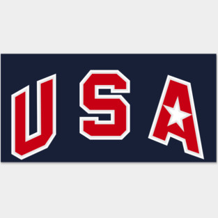 TEAM USA - redeem team Posters and Art