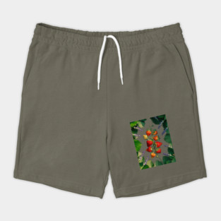Strawberries plant Shorts