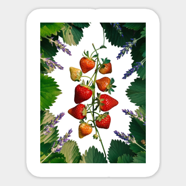 Strawberries plant Magnet by animegirlnft