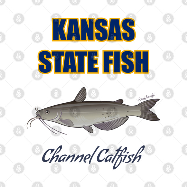 Kansas State Fish - Channel Catfish by Reefhorse