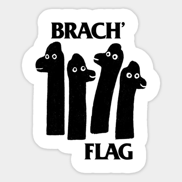 Brach Flag Magnet by dumbshirts