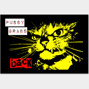 Pussy Grabs Back Posters and Art