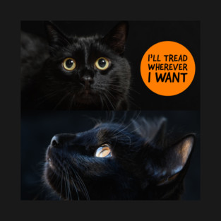 I’ll tread wherever T-Shirt