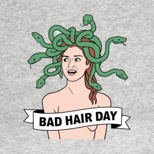 Bad Hair Day Sarcastic Funny Quote T-Shirt