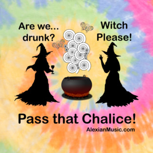 Are We Drunk? Witch Please! Pass That Chalice! Wiccan T-Shirt