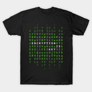 Encryption Is Key T-Shirt
