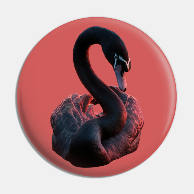 Black Swan with a Striking Red Glow on its Feather Pin by animegirlnft