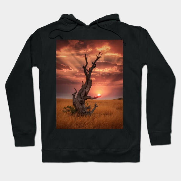 weathered tree  field of golden Hoodie by animegirlnft