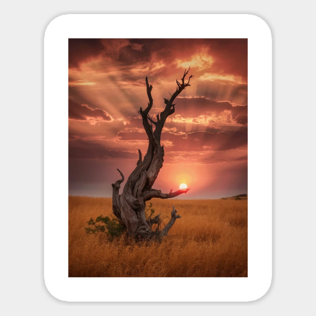 weathered tree  field of golden Sticker by animegirlnft