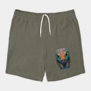 Close up of a Snake Head Shorts