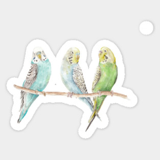 Parakeets Magnet