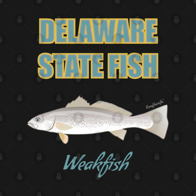 Delaware State Fish - Weakfish by Reefhorse