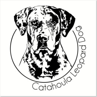 Catahoula Leopard Dog Portrait Posters and Art