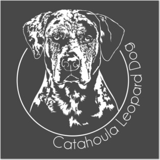 Catahoula Leopard Dog Portrait Posters and Art